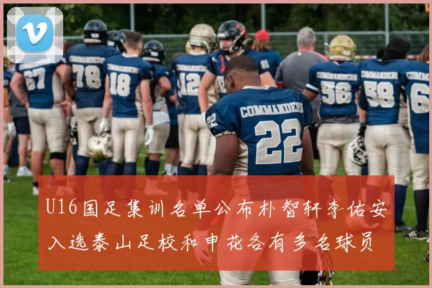 U16国足集训名单公布朴智轩李佑安入选泰山足校和申花各有多名球员参与